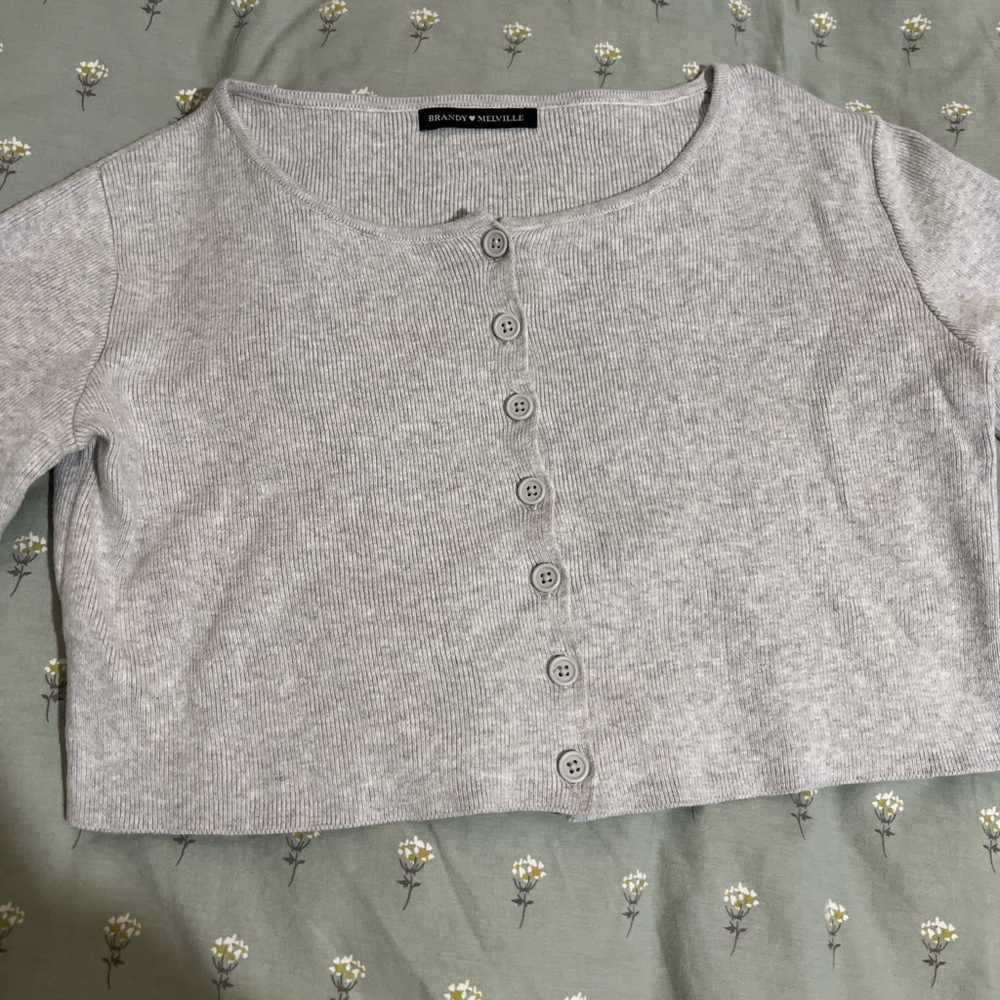 Brandy Melville Gray Button-Up Crop Top